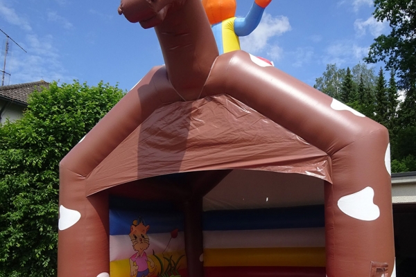 cowboy0186D27237-A096-CAAE-EC8B-7AD8281C7B3E.jpg